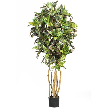 Nearly Natural 5 Croton Silk Tree- Green 5180